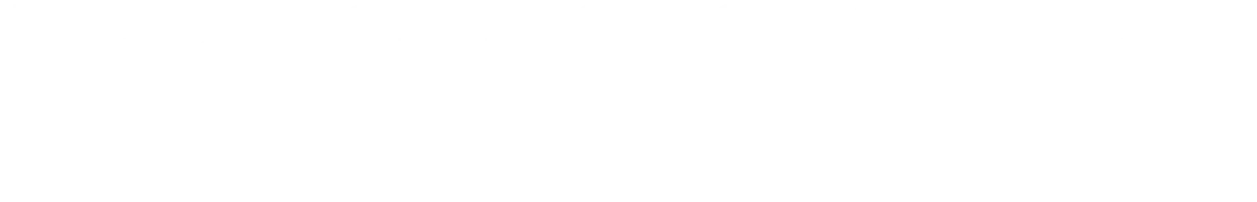 Zemsky & Salomon Logo